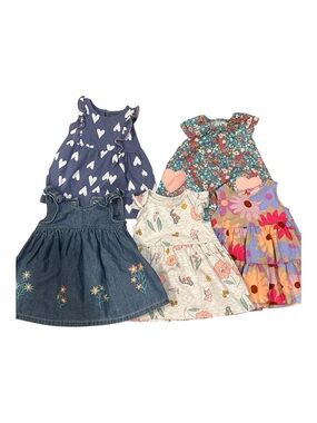 Baby girls lot of 0- 3 month clothing
 lot of 5 girls